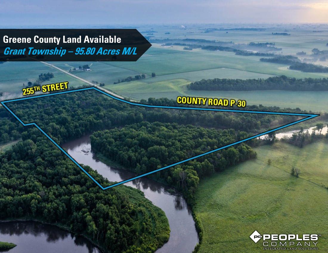 Listing Photo: Greene-Co-Recreational-Land-Available-95-Acres-19559 (3)